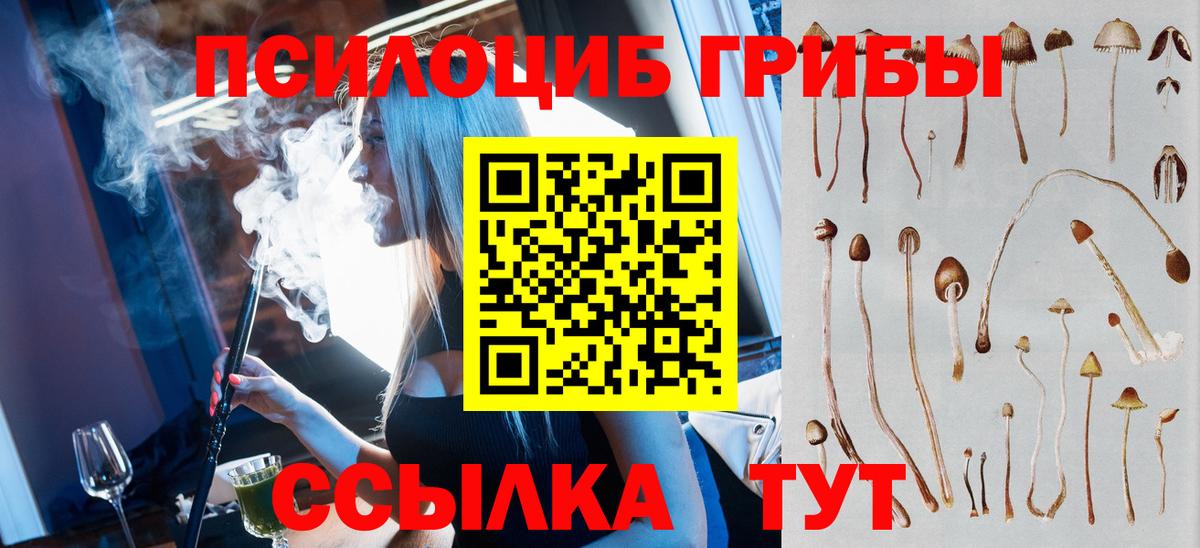 Псилоцибиновые грибы мухоморы Унеча